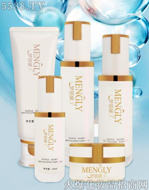 V݋yƷ޹˾(mng)¹ʲϵ