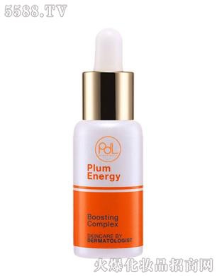 PDL(̩)yƷ޹˾Plum Energy̩QҺ