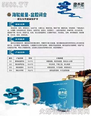 V_(d)Ƽ޹˾B(yng)w݆-ǻ]