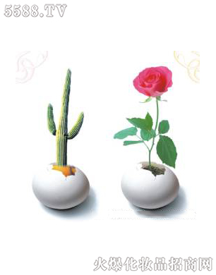 ϺƼ޹˾ǻޏ(f)3ɆT