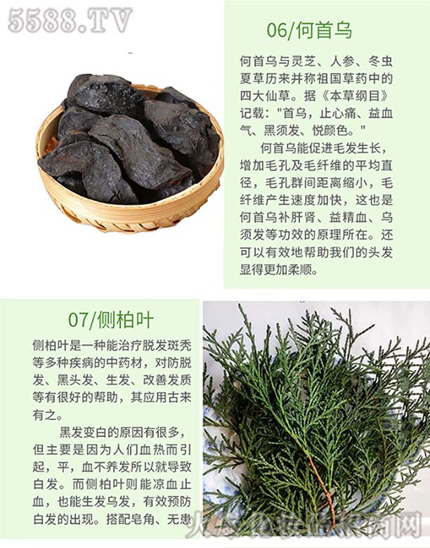 Ȫֿt(y)ˎ޹˾l(f)ѾѾݱֲϴl(f)飨מ(c)~