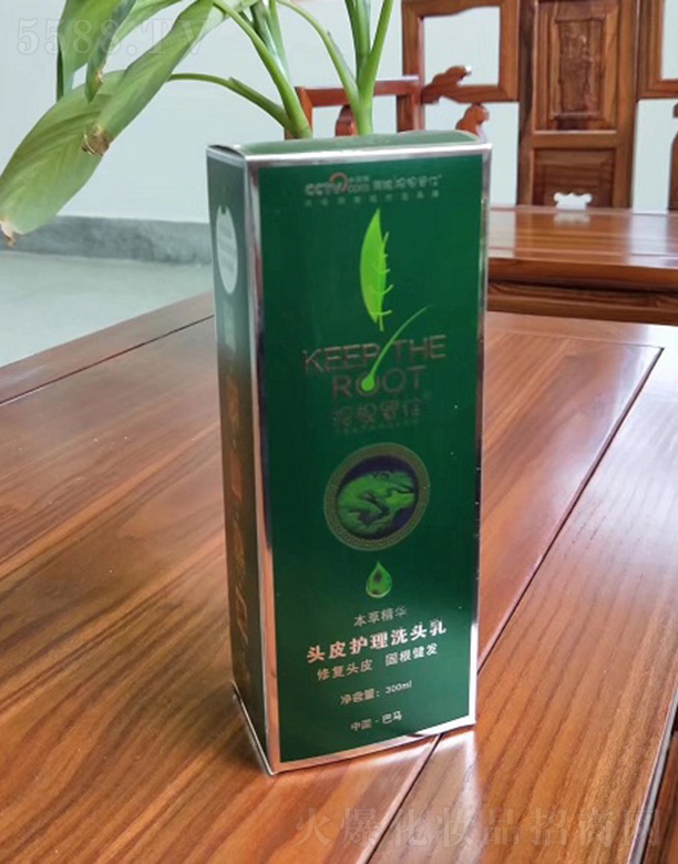 VѸסt(y)ˎƼ޹˾Ѹס^Ƥoϴ^300ml