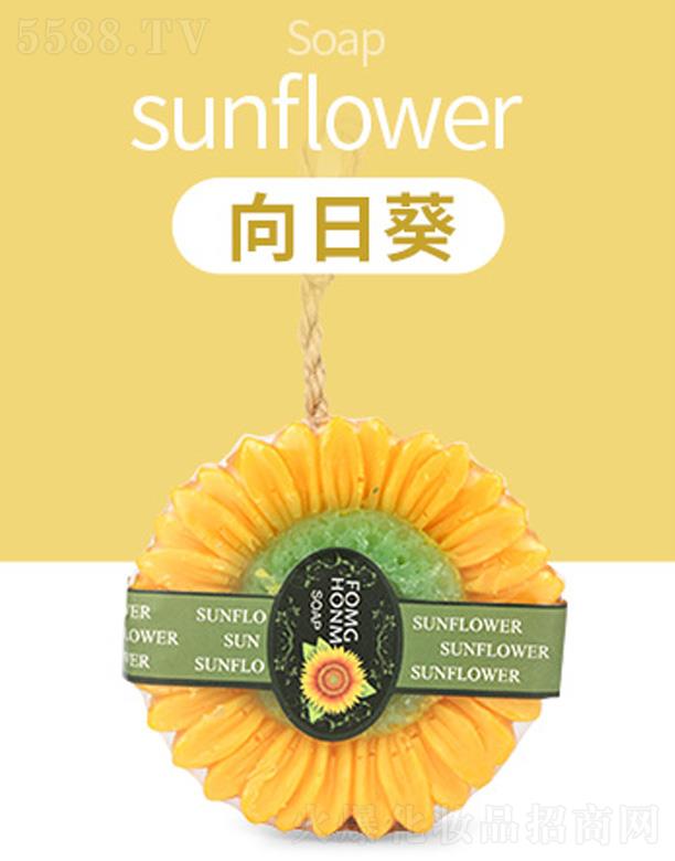 VGƼ޹˾̩ܽ(gu)3Dտ