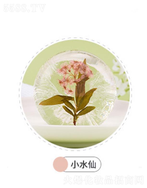 VmԊƷ޹˾mԊmԊ𰱻ֹ-Сˮ