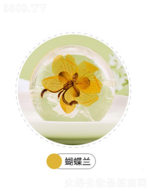 VmԊƷ޹˾mԊmԊ𰱻ֹ-m