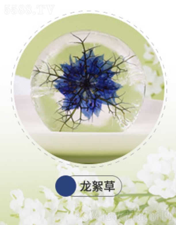 VmԊƷ޹˾mԊmԊ𰱻ֹ-