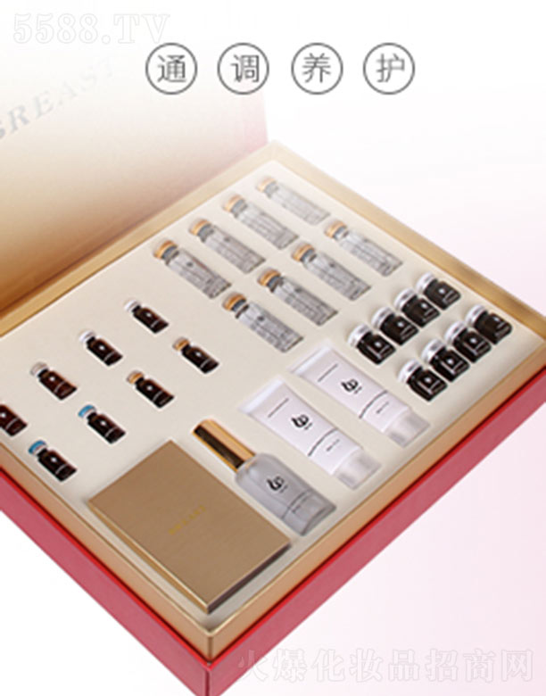 VտƼ޹˾֮Y-02敳o׽MII̖