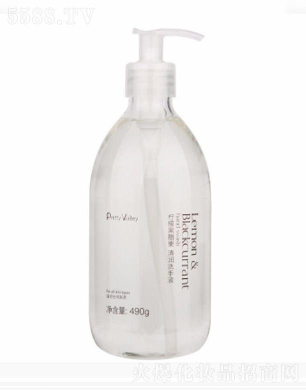 V݅RȻƷBi޹˾ʺڴ坙ϴҺ 490g