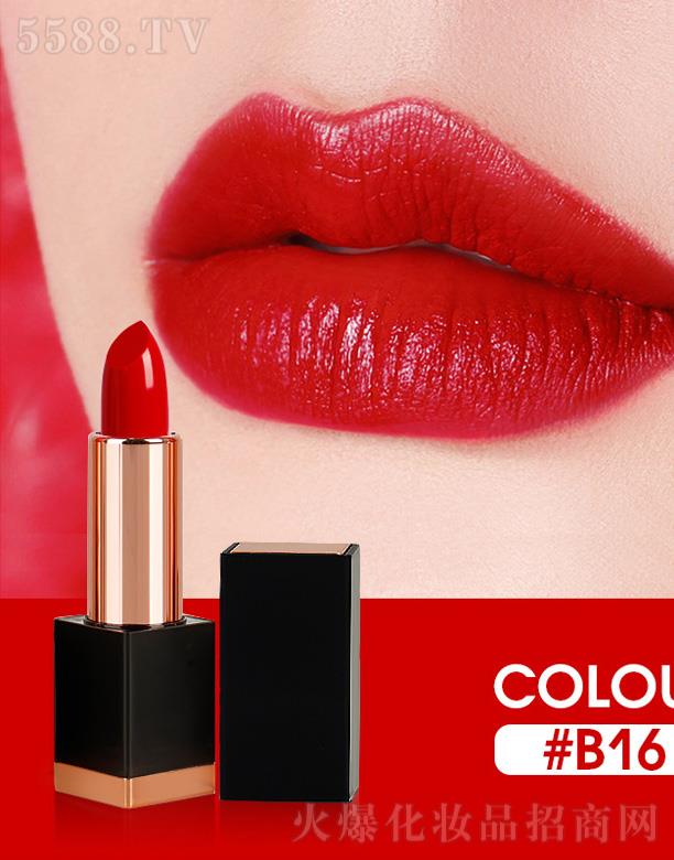 VŻyƷ޹˾LIYALAN̝ڼt#B16