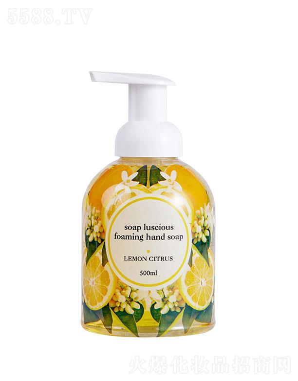 ŵ(BT)＼g޹˾ŵ(    ŵϴҺ   坍ow