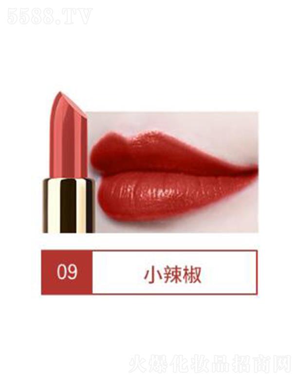 VЃ(yu)ɫyƷ޹˾VIBELYr(sh)̝Ȼڼt09С