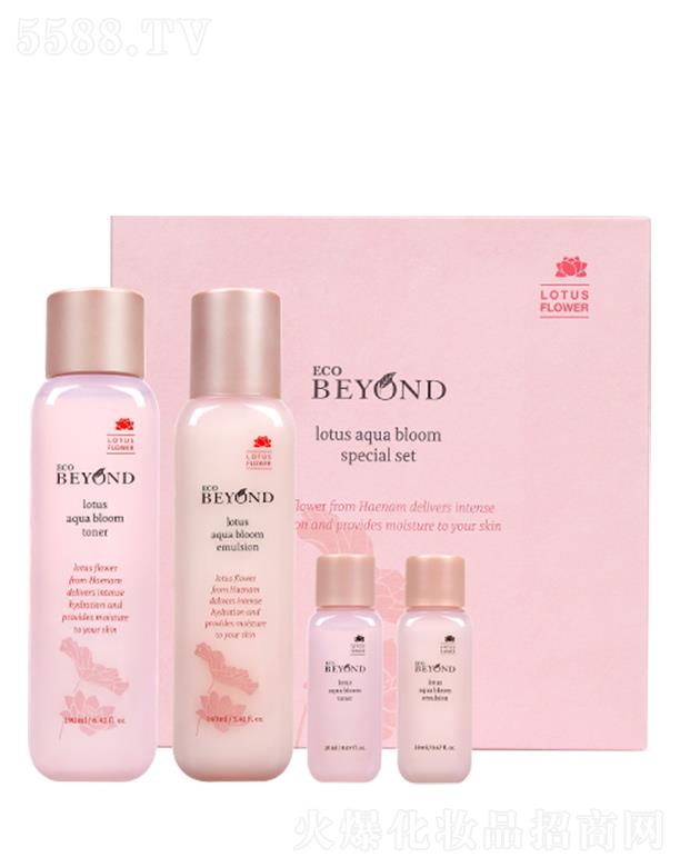 Q(Ϻ)޹˾ؐɏˮ`ŻAow2 ˮ̝ʮ