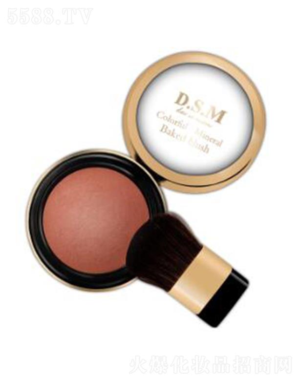 VɫyƷ޹˾D.S.MzʆwVt06 paWpˢO(png)