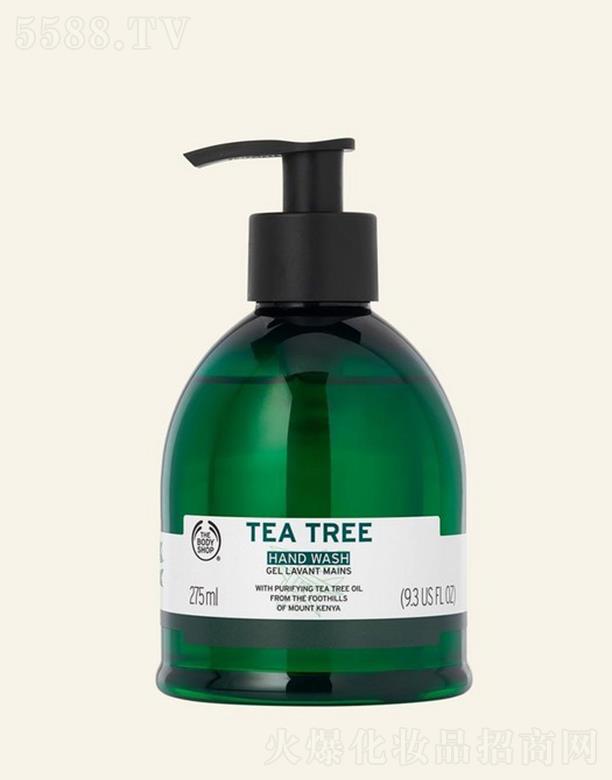 WR(Ї(gu))޹˾wС䁲䝍Һ 275ml