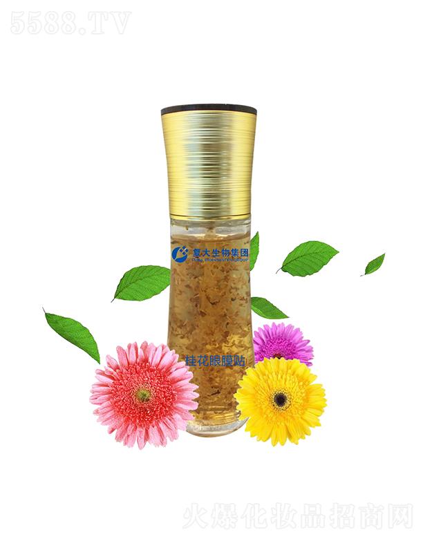 ɽ|ʹƼ޹˾ʹＯFĤNӹ