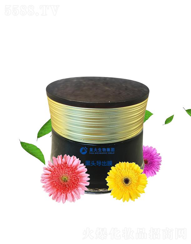 ɽ|ʹƼ޹˾ʹＯF^Ĥӹ