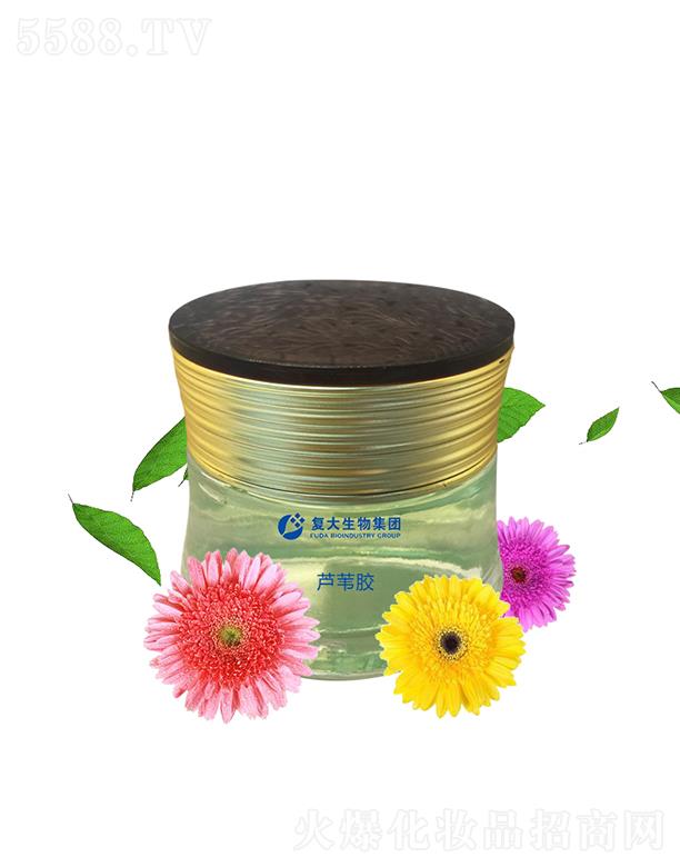 ɽ|ʹƼ޹˾ʹＯFJCzӹ