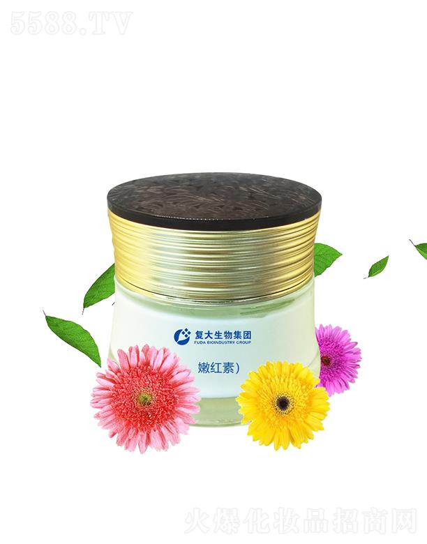 ɽ|ʹƼ޹˾ʹＯFۼtشӹ