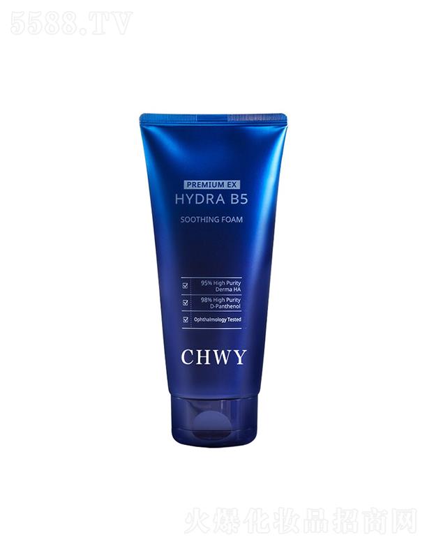 V|嫝(rn)Ƽ޹˾嫝(rn)ĭϴ̝  