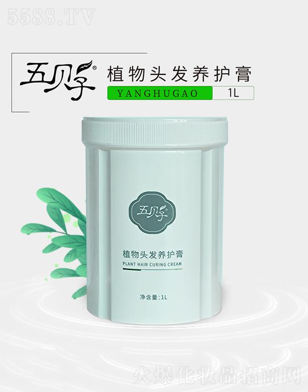 ϺؐӻyƷ޹˾ֲؐ^l(f)B(yng)o(h) 1Ll(f)ůB(yng)^Ƥ