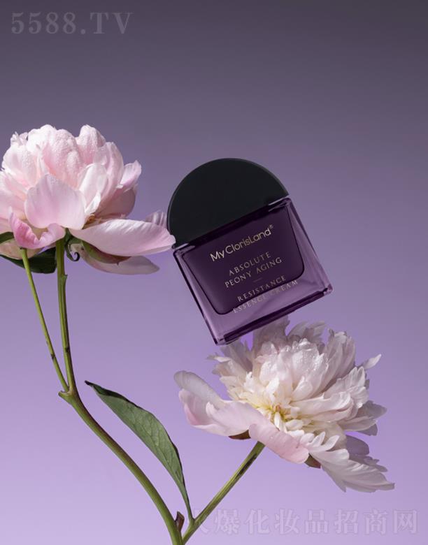 RݣyƷ؟(z)ι˾ޢݼĵr(sh)rA˪