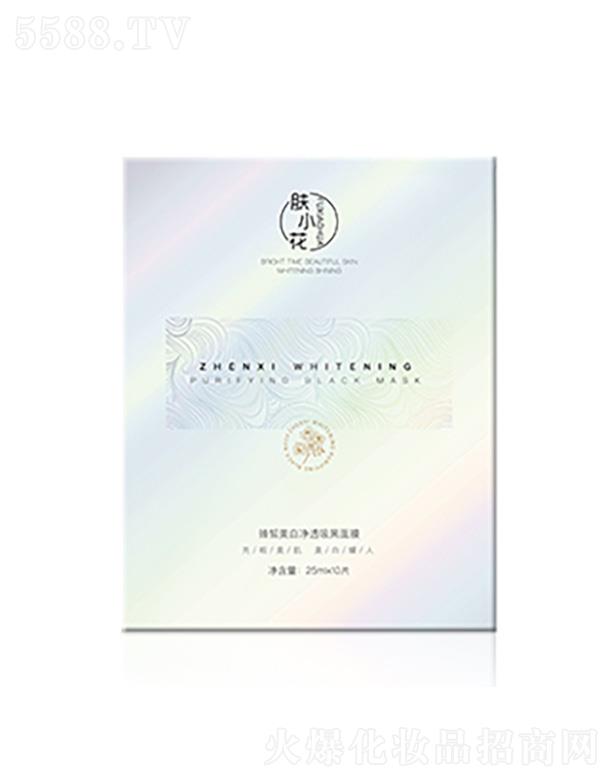 VŻyƷ޹˾wС׃͸Ĥ 25gx10Ƭ