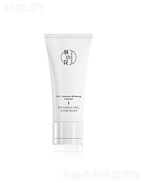 VŻyƷ޹˾wСם 100g