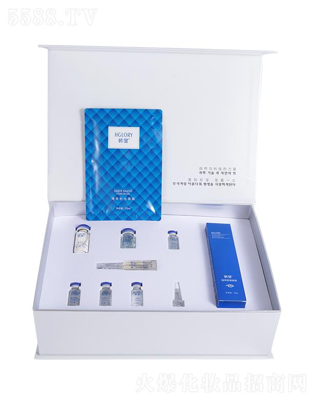 Vݺ{ͶYԃ޹˾nu{ؐ݌