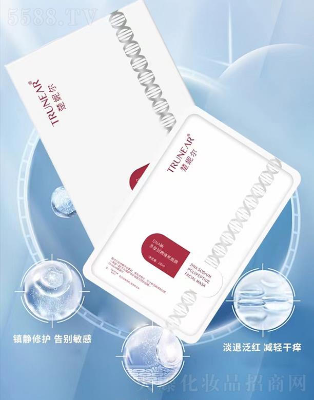 Vt(y)ˎƼ޹˾ݠDNAcvĤ