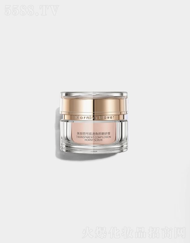 HyƷ޹˾MorningFlower͸|(zh)ĥɰ