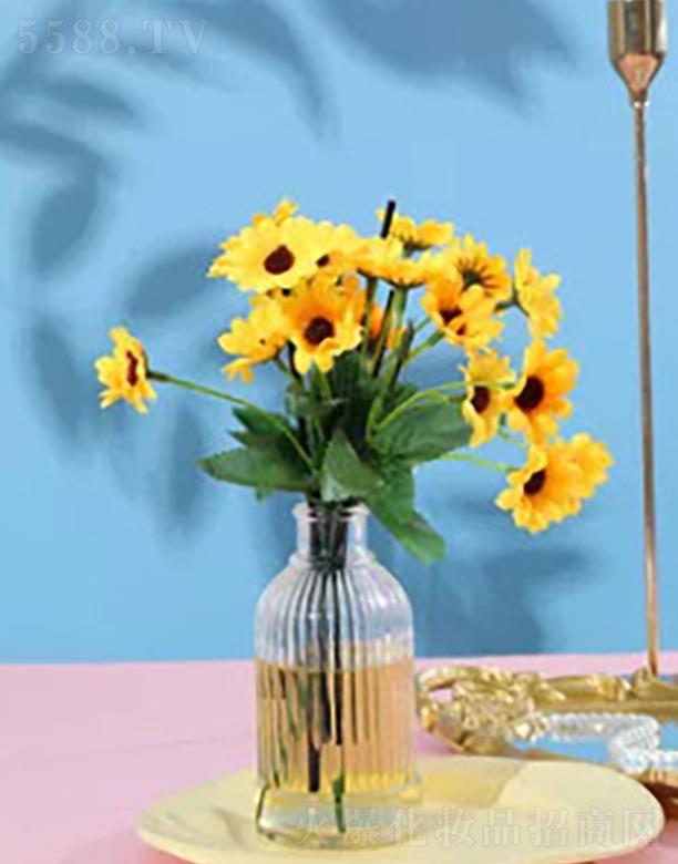 ~¶ɯƼ޹˾~¶ɯ̲yѩ