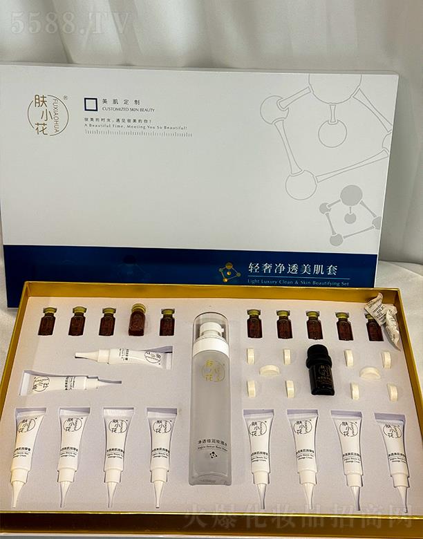 VŻyƷ޹˾wСp݃͸()