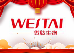 金龍送福，開門大吉！廣州微肽給您拜年了！