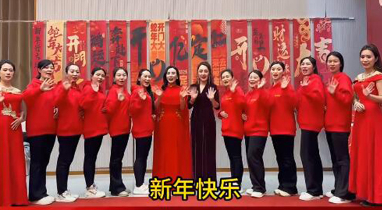 蛇年好運(yùn)至，幸福滿人間！飛斯達(dá)祝您百事從歡，一路向陽！