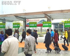 һ(g)ε׌҂(jin)Żǵ