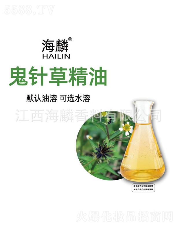 �����ᘲݾ���