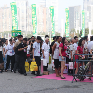 2019I(y)[𱬾W(wng)F