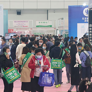 2020(j)ϸ߶I(y)[҂̈F(tun)c͑һ·S