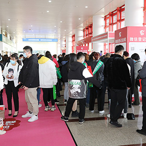 ֻƴMȡڳԽ쾫Ӣ