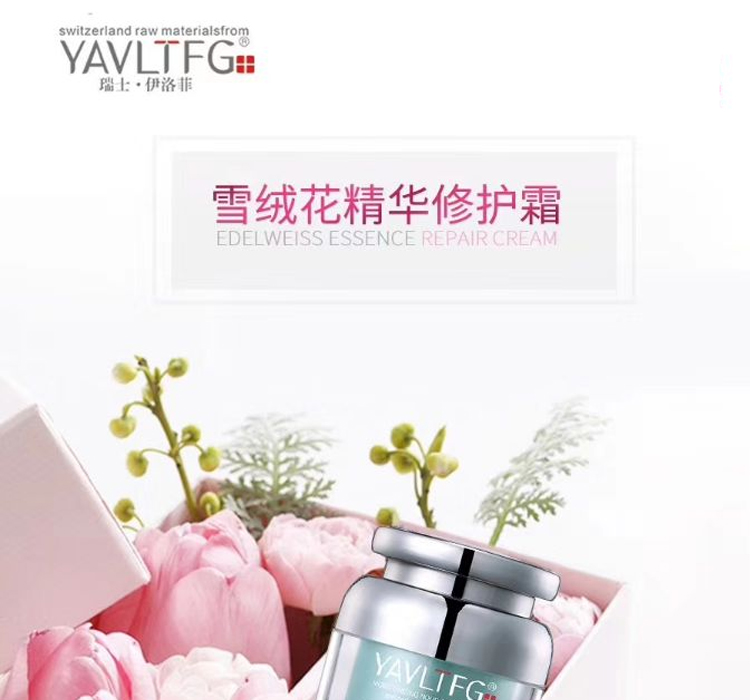 伊洛菲雪絨花修護 伊洛菲雪絨花修護