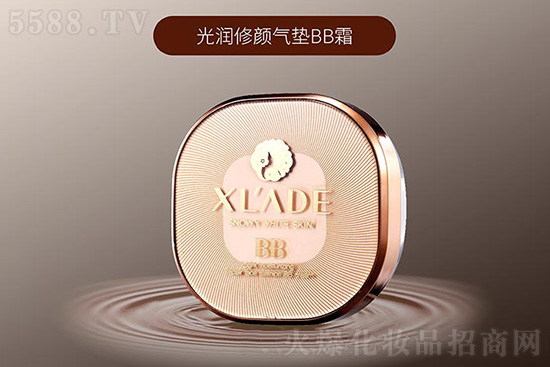 雪蘭朵光潤(rùn)修顏氣墊BB霜 雪蘭朵光潤(rùn)修顏氣墊BB霜