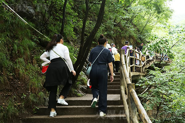 I(lng)ԇ(gu)W(xu)֮ǻ