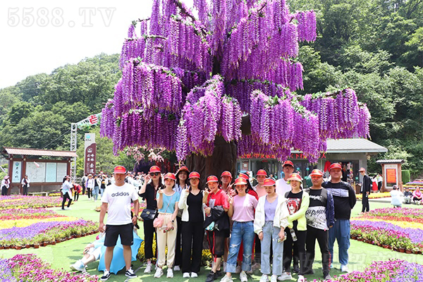 永遠不要停下自己攀登的腳步 永遠不要停下自己攀登的腳步
