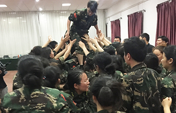 單槍匹馬難跨越，百人抱團筑長城！