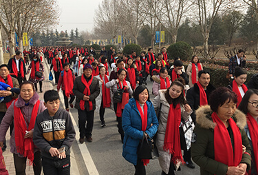 tϲc𱬾W(wng)y(tng)һoĸl(f)ϲct